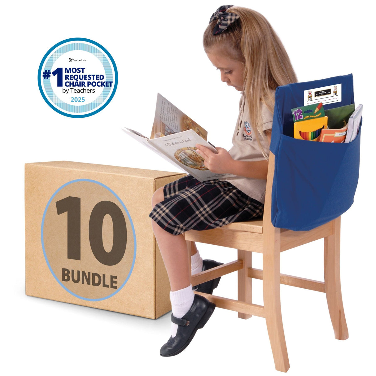 10-Pack Single Pocket Seat Sack®