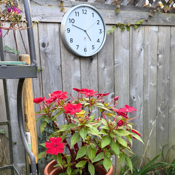 Alba Extra Inoxydable Indoor/Outdoor Clock Silver Grey