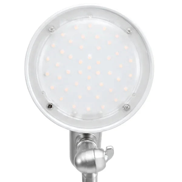 Close-up of the white LED light head on an Alba adjustable office desk lamp.