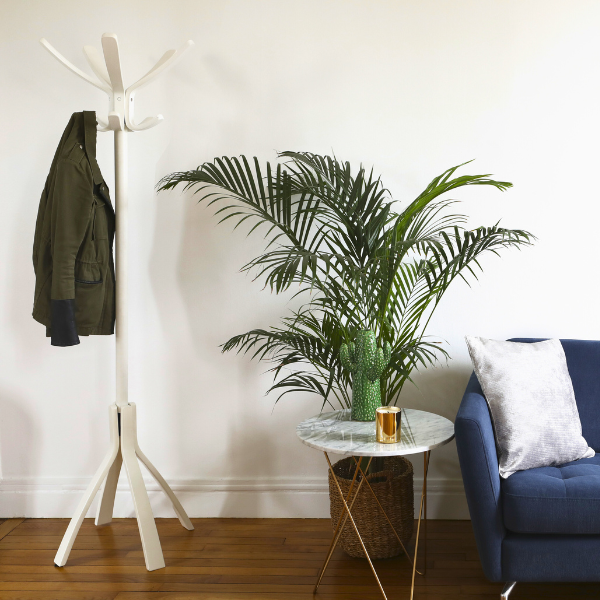 White wood coat stand with jacket beside plant, marble side table, and blue sofa in modern room