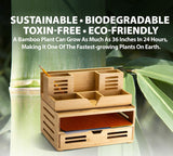 Bamboo Desk Organizer