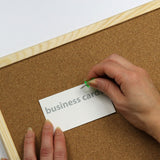 Clips and Fasteners - Push Pins, Translucent