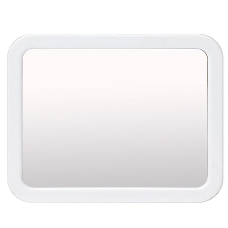 Magnetic Mirror
