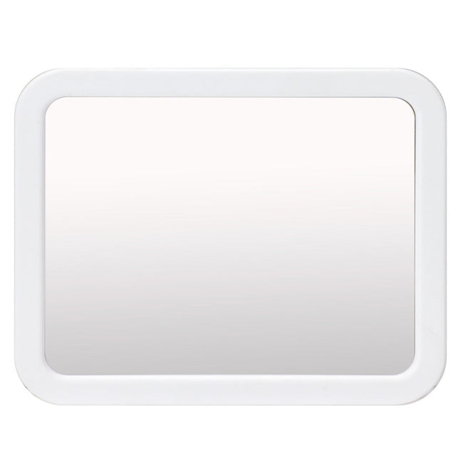 Magnetic Mirror